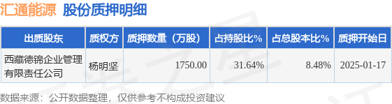 匯通能源（600605）股東西藏德錦企業(yè)管理有限責(zé)任公司質(zhì)押1750萬(wàn)股占總股本848% title=